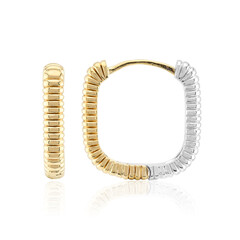 Pendientes en plata