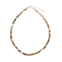 Collar en plata con Piedra petoskey
