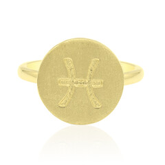 Anillo en plata