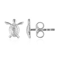 Pendientes en plata