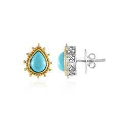 Pendientes en plata con Turquesa bella durmiente (Dallas Prince Designs)