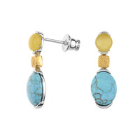 Pendientes en plata con Turquesa