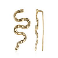 Pendientes en plata