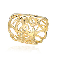 Anillo en plata