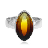 Anillo en plata con Ámbar báltico