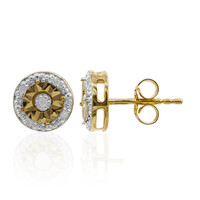 Pendientes en plata con Diamante PK (I)