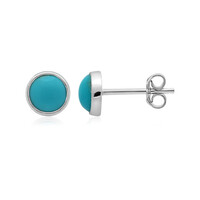 Pendientes en plata con Turquesa
