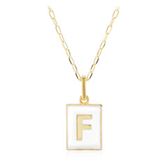 Collar en plata