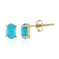 Pendientes en oro con Turquesa bella durmiente