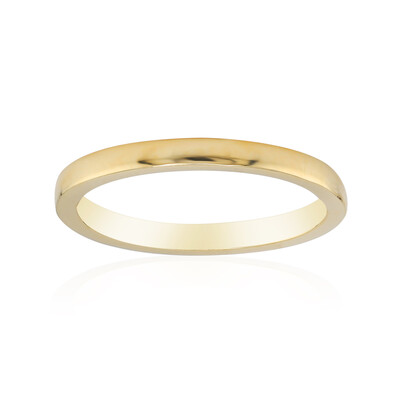Anillo en plata