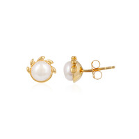 Pendientes en plata con Perla beige Freshwater
