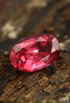 Espinela roja noble