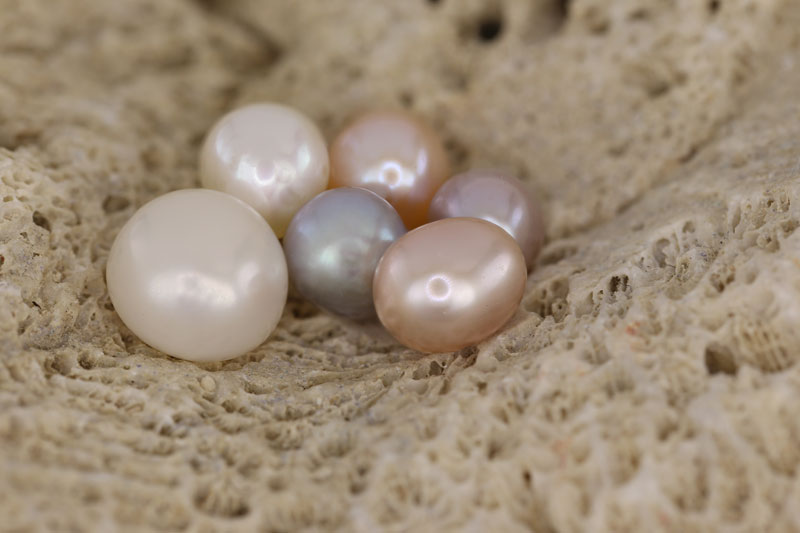 Perla | Las Piedras Preciosas de Juwelo 